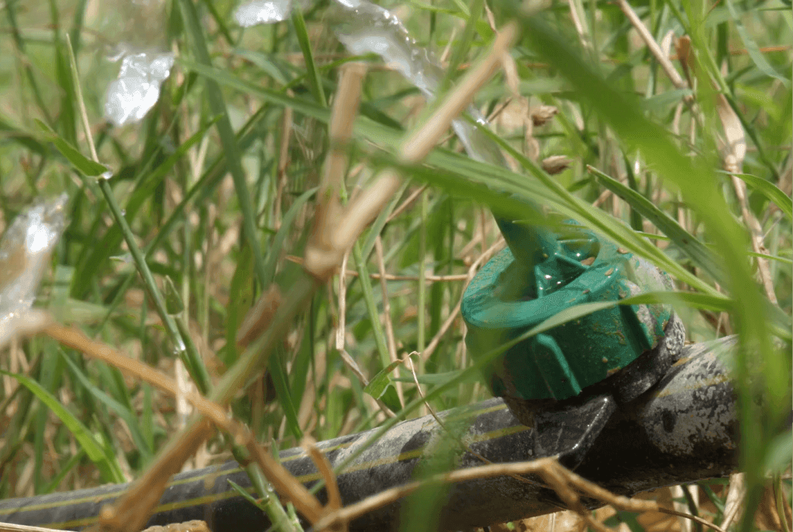 Used in sugarcane cultivation