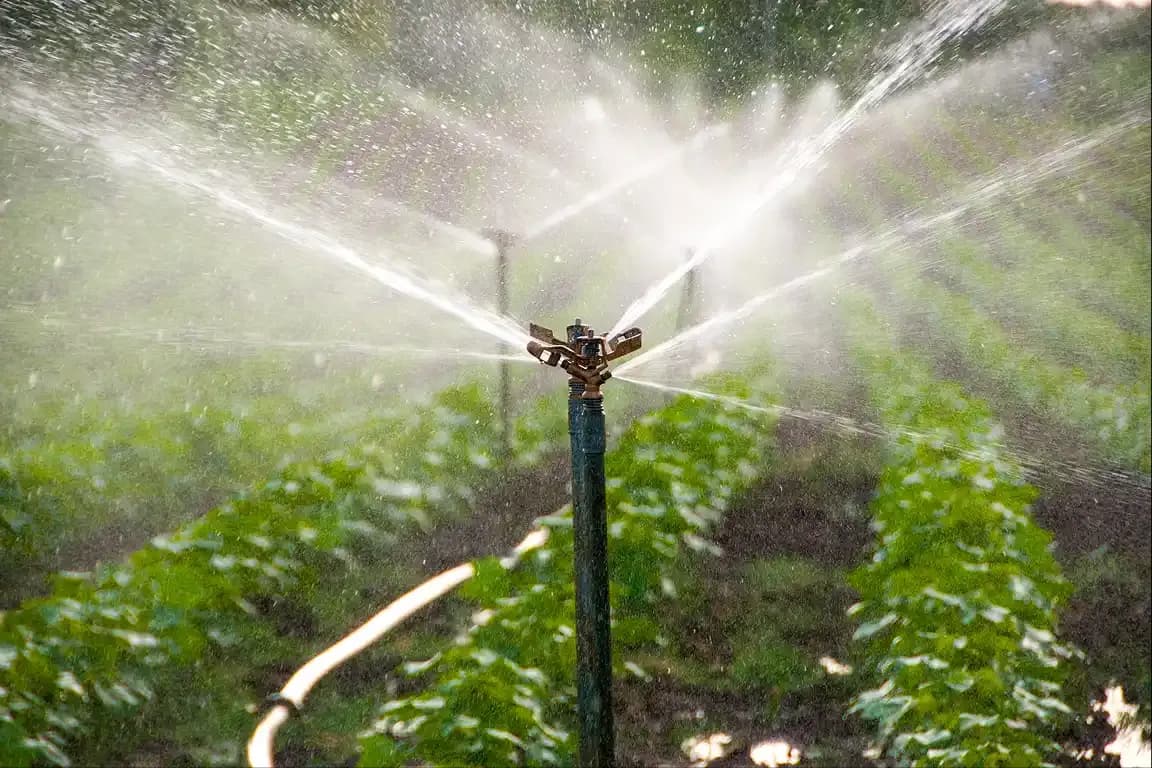 Sprinkler Irrigation